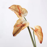 Real Touch Large Anthurium Flower Stem – 26"/65cm