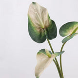 Real Touch Large Anthurium Flower Stem – 26"/65cm
