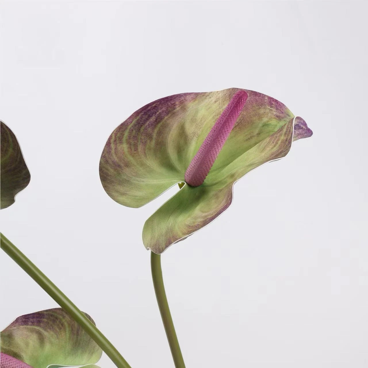 Real Touch Large Anthurium Flower Stem – 26"/65cm