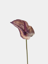 Real Touch Large Anthurium Flower Stem – 26"/65cm
