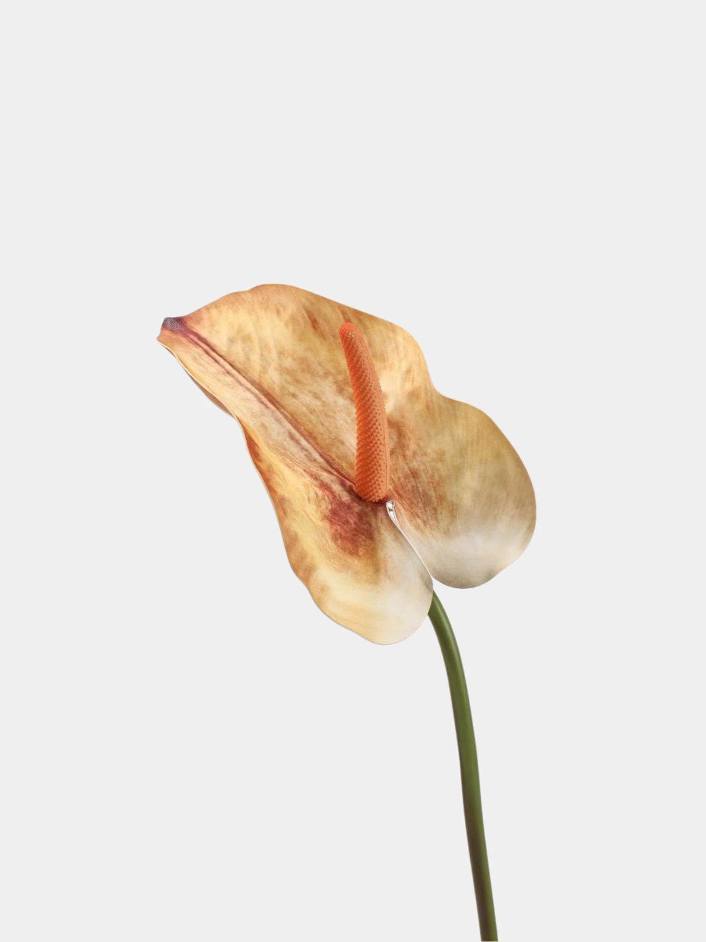 Real Touch Large Anthurium Flower Stem – 26"/65cm