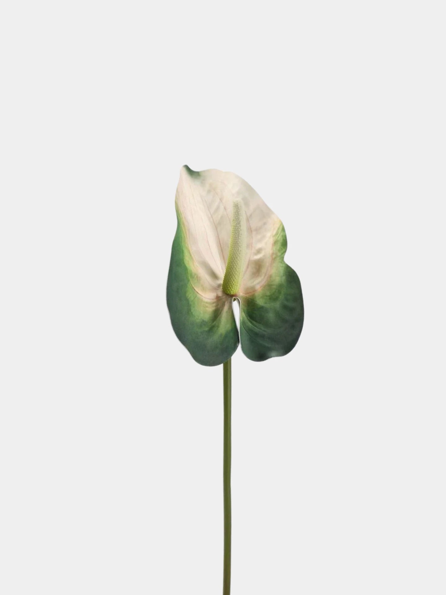 Real Touch Large Anthurium Flower Stem – 26"/65cm