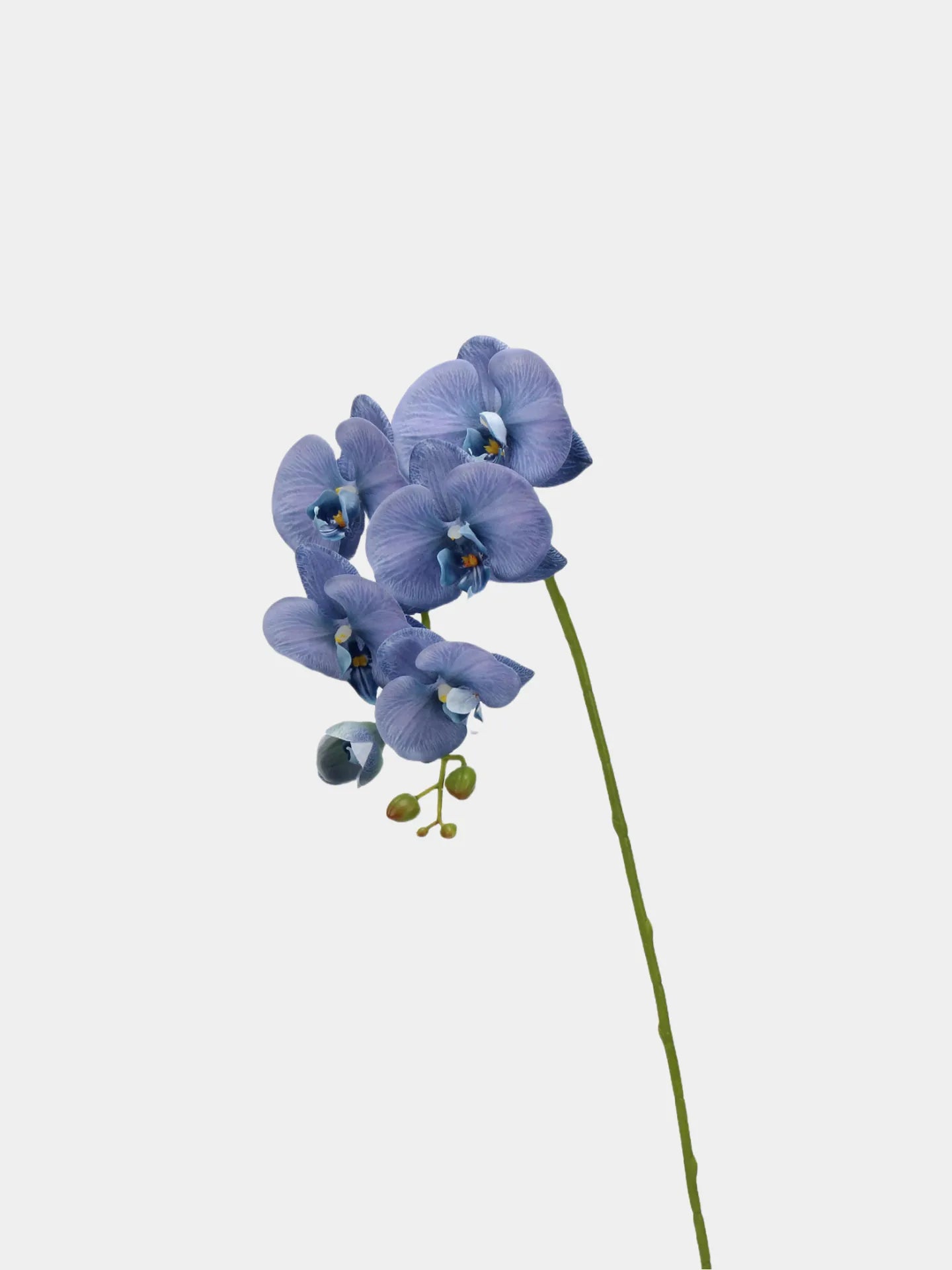 Real Touch Faux Large Butterfly Orchid Flower –Blue