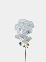 リアルタッチフェイク大きなバタフライオーキッドの花 – ブルー