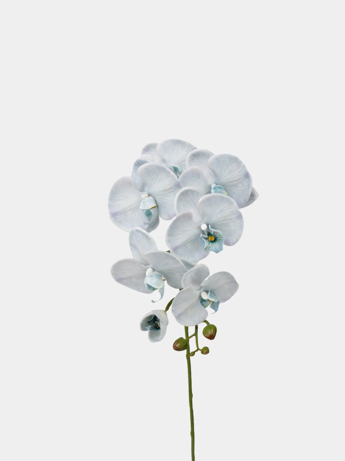 Real Touch Faux Large Butterfly Orchid Flower –Blue