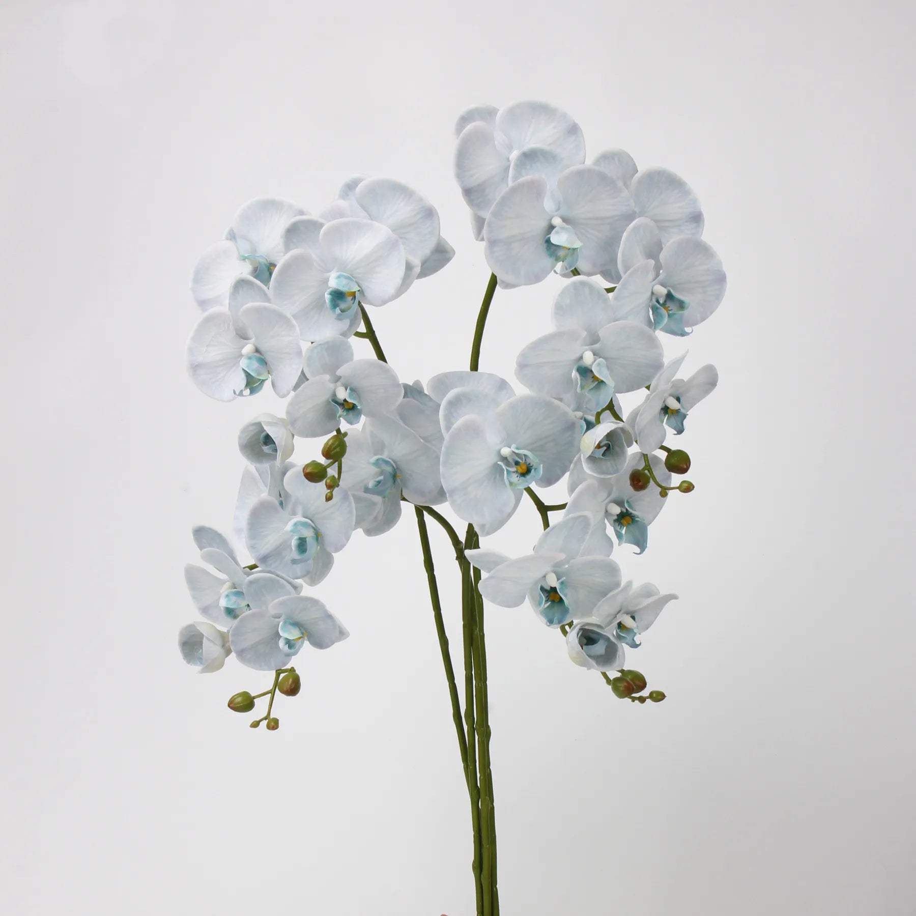 Real Touch Faux Large Butterfly Orchid Flower –Blue