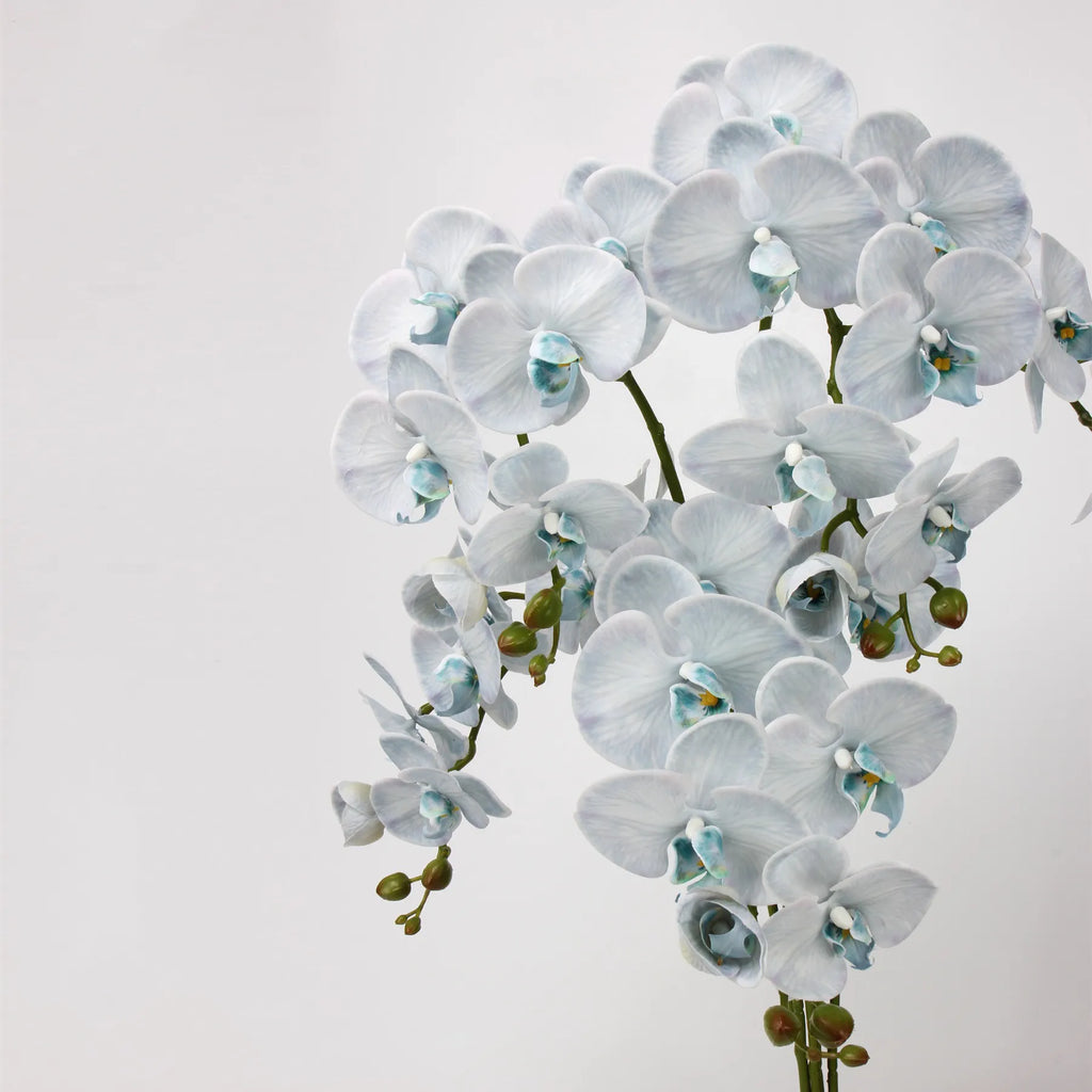 Real Touch Faux Large Butterfly Orchid Flower –Blue