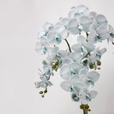 リアルタッチフェイク大きなバタフライオーキッドの花 – ブルー