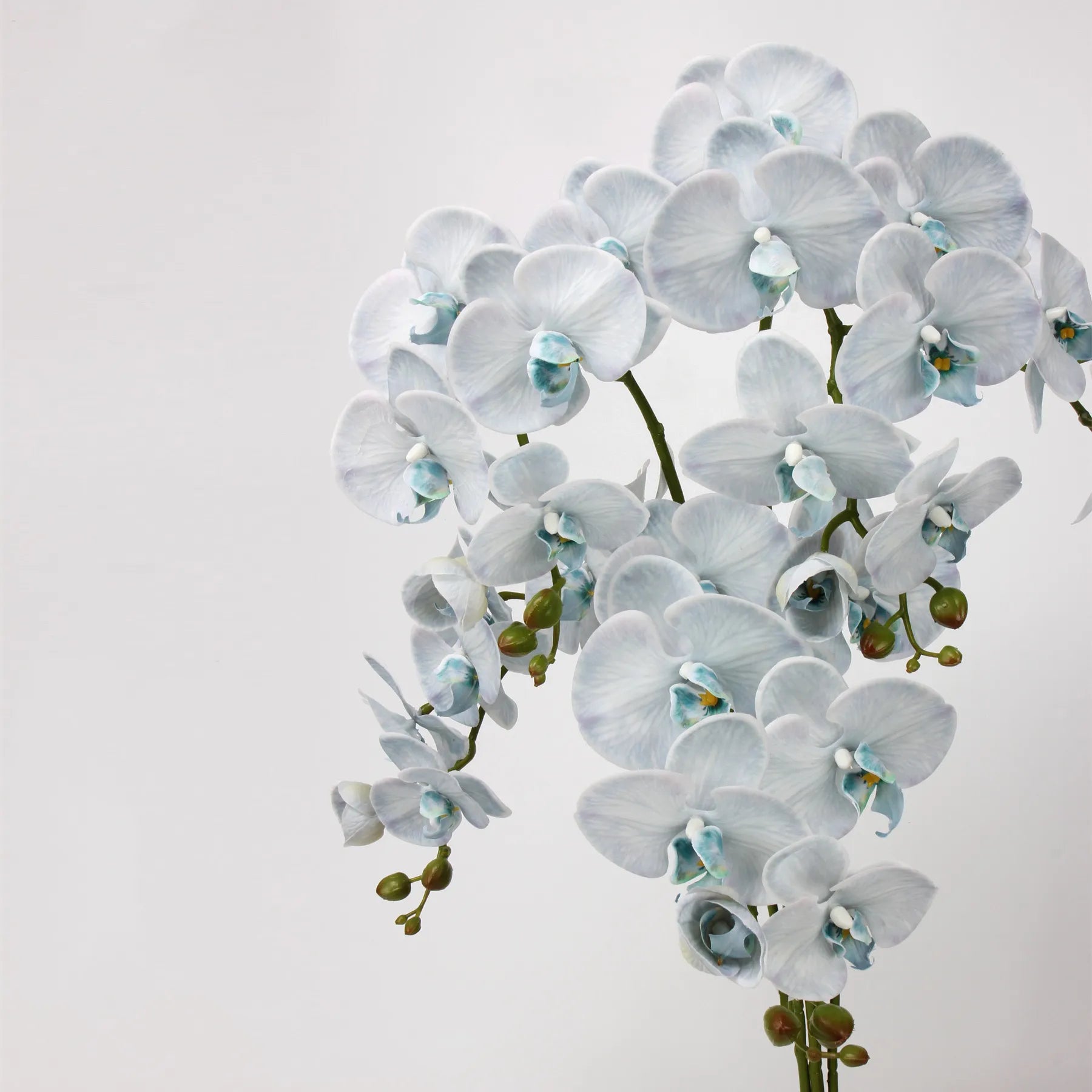 リアルタッチフェイク大きなバタフライオーキッドの花 – ブルー