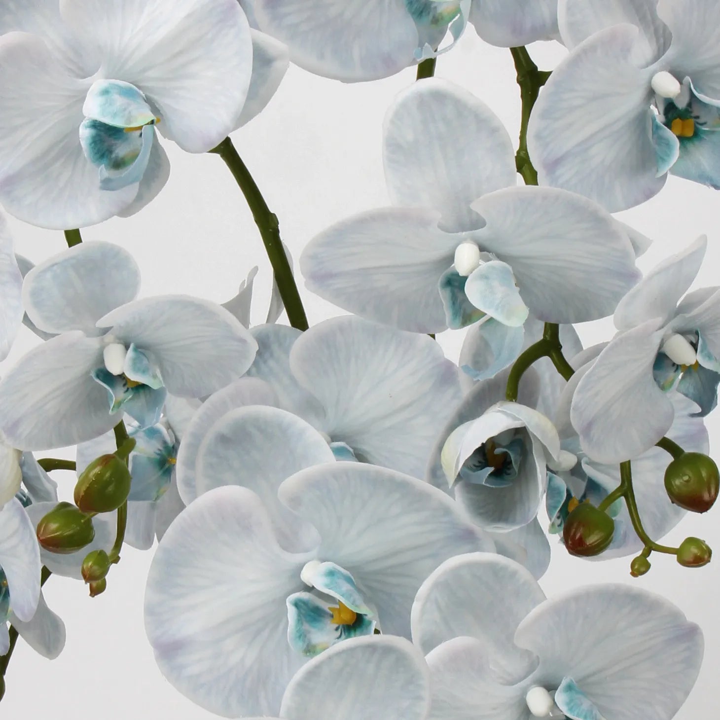 Real Touch Faux Large Butterfly Orchid Flower –Blue