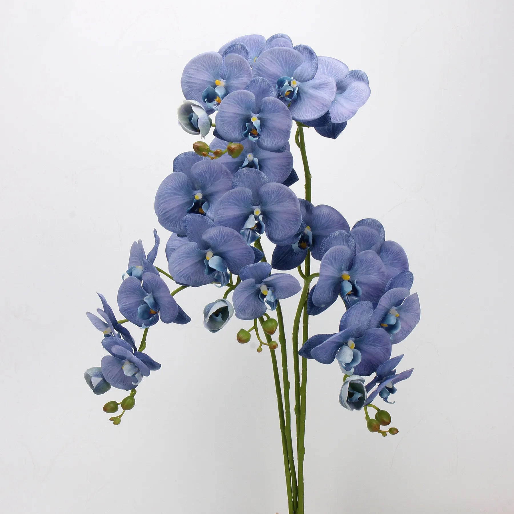 Real Touch Faux Large Butterfly Orchid Flower –Blue