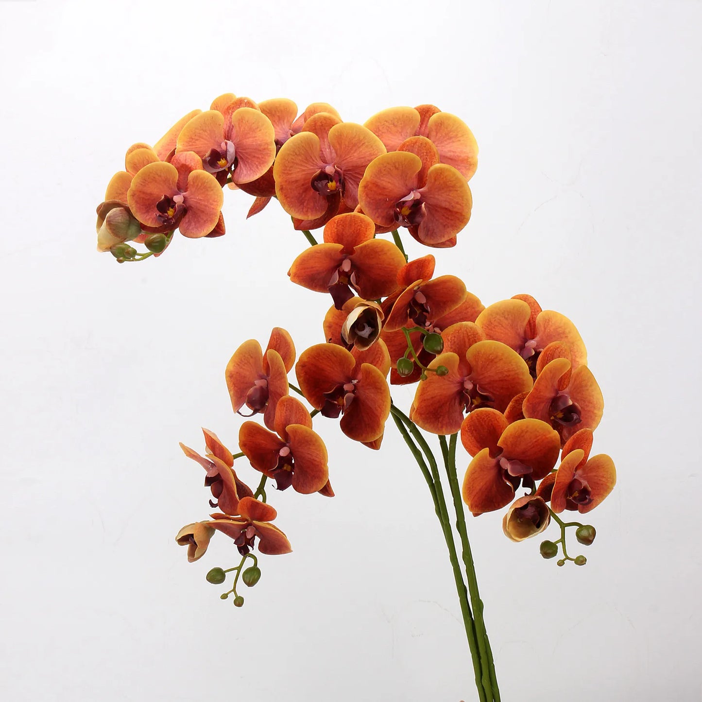 Real Touch Large Butterfly Orchid Flower Stem –Orange