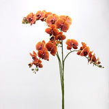 Real Touch Large Butterfly Orchid Flower Stem –Orange