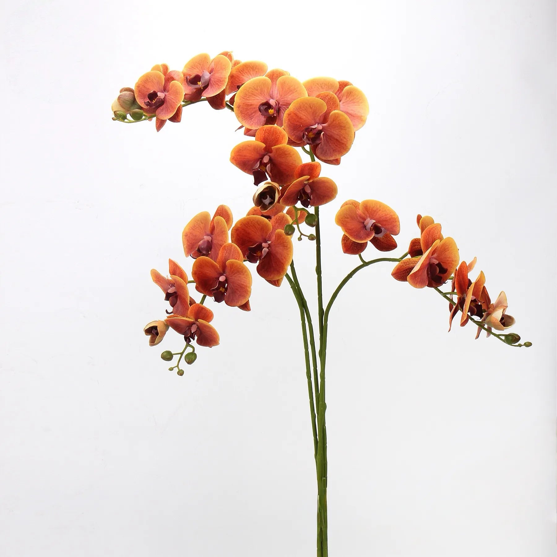 Real Touch Large Butterfly Orchid Flower Stem –Orange