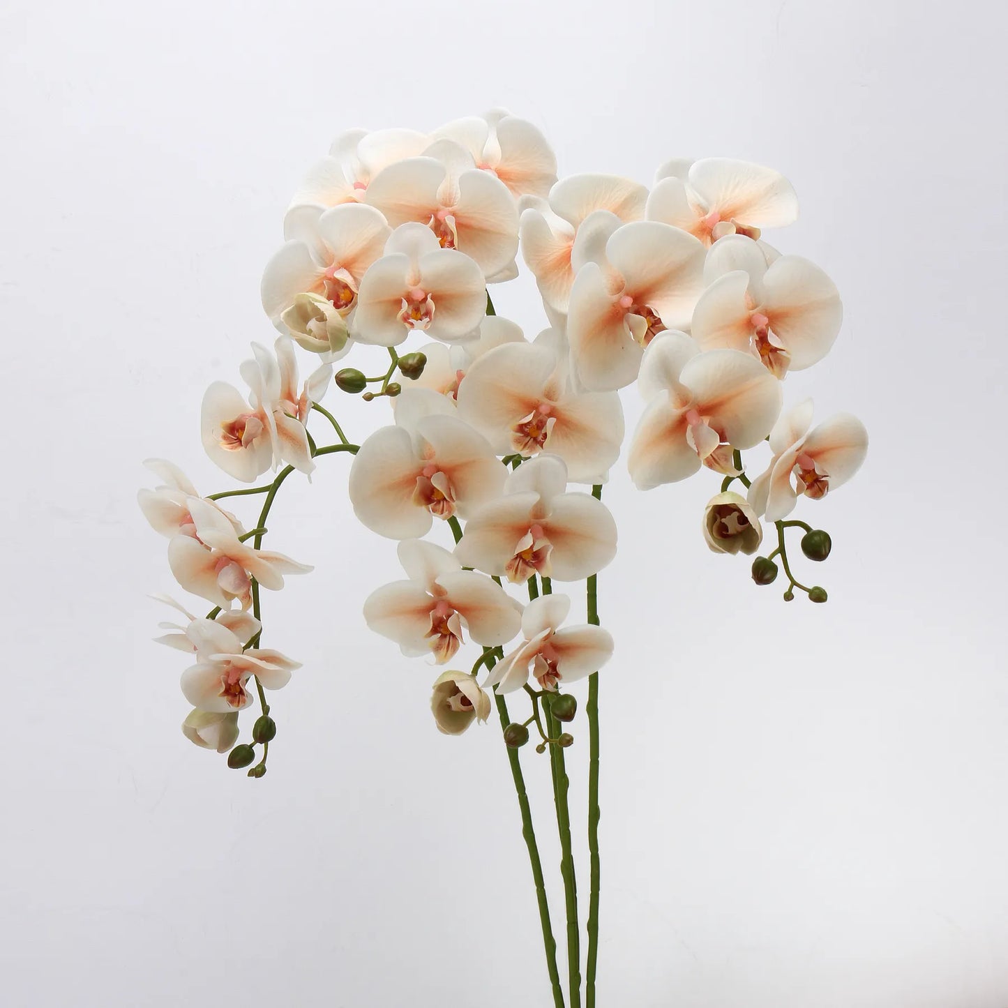 Real Touch Large Butterfly Orchid Flower Stem –Orange