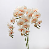 Real Touch Large Butterfly Orchid Flower Stem –Orange