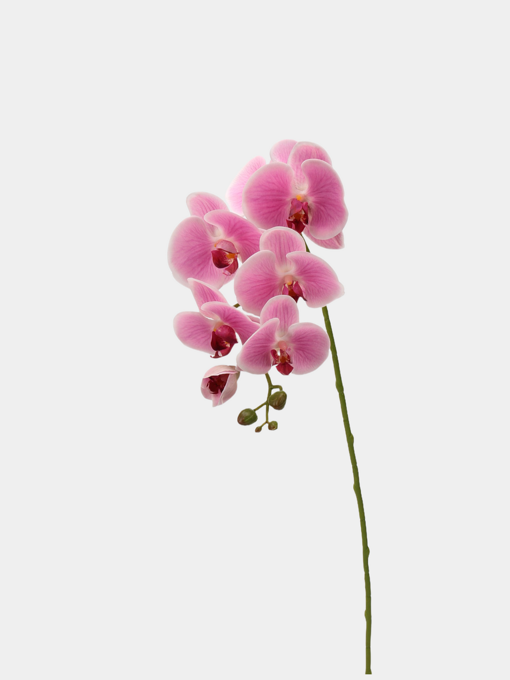 Real Touch Faux Large Butterfly Orchid Flower –Pink