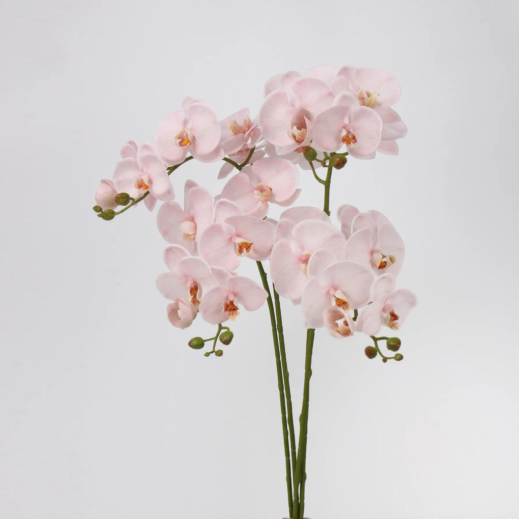 Real Touch Faux Large Butterfly Orchid Flower –Pink
