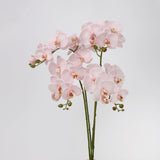 リアルタッチフェイク大きなバタフライオーキッドの花 – ピンク