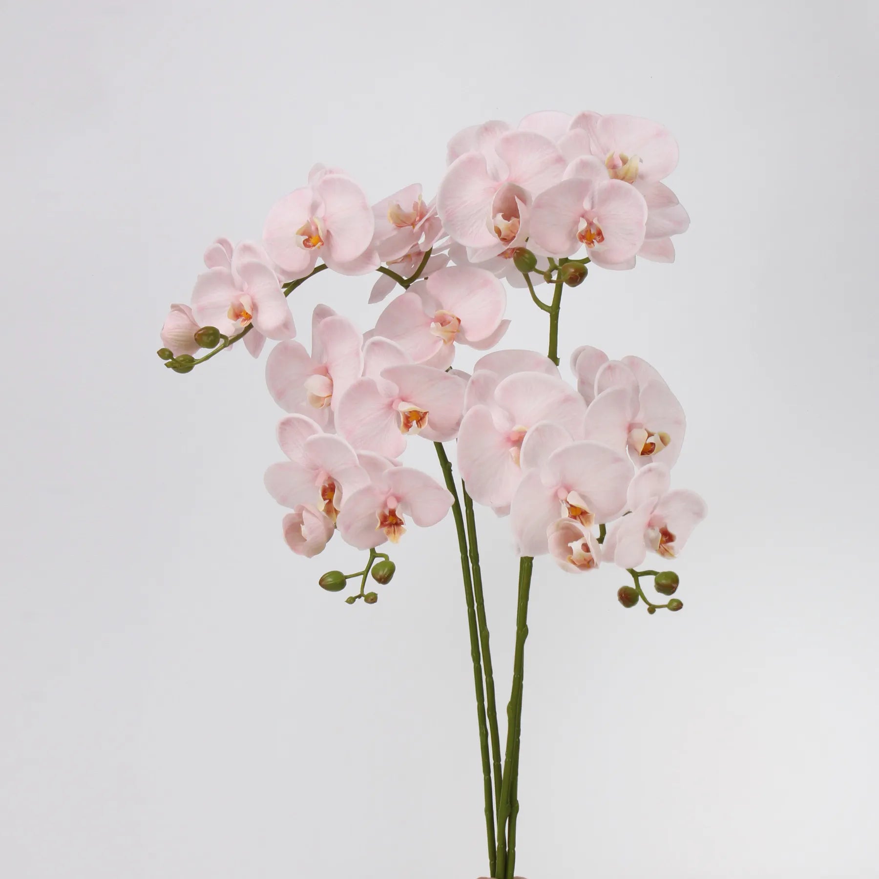 リアルタッチフェイク大きなバタフライオーキッドの花 – ピンク