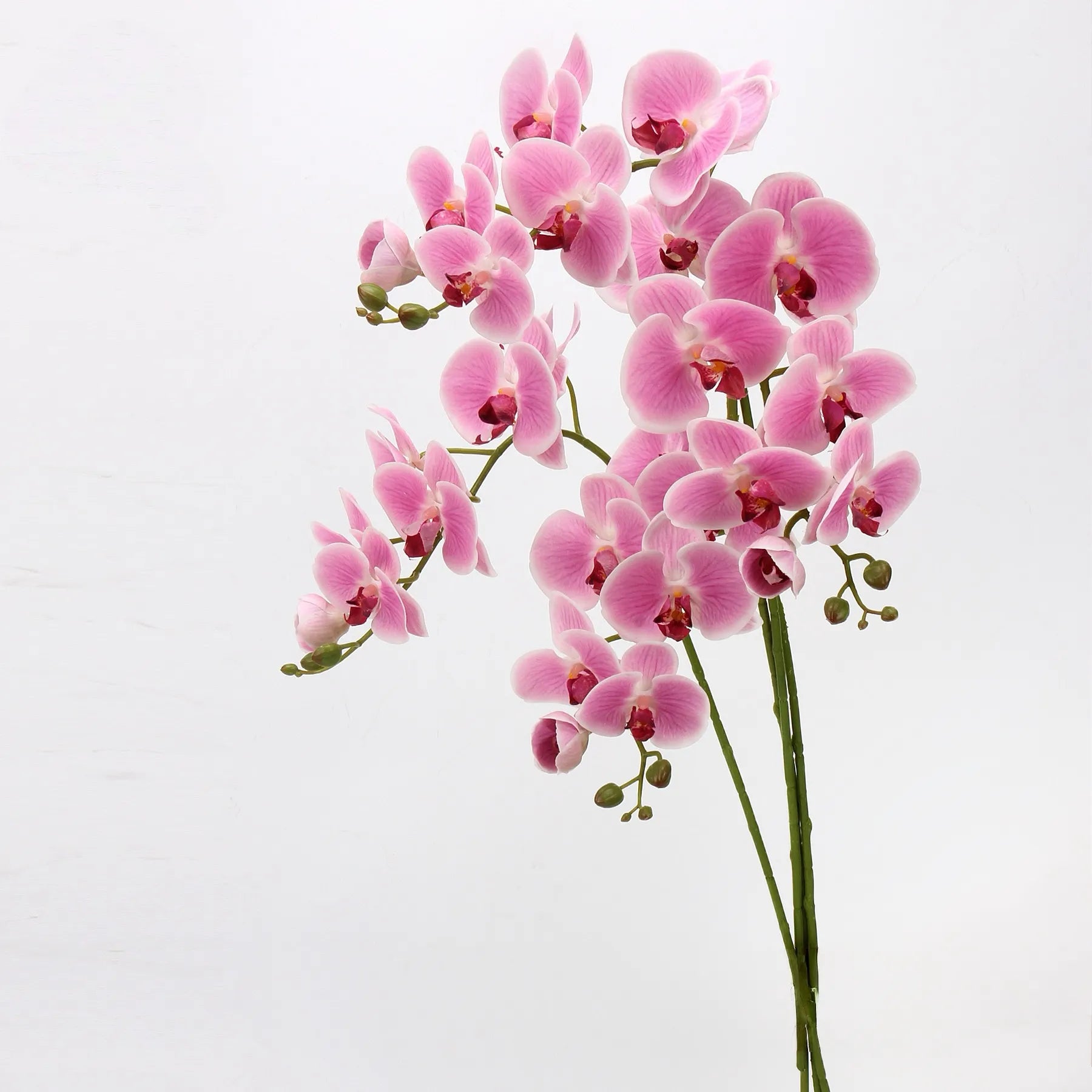 リアルタッチフェイク大きなバタフライオーキッドの花 – ピンク