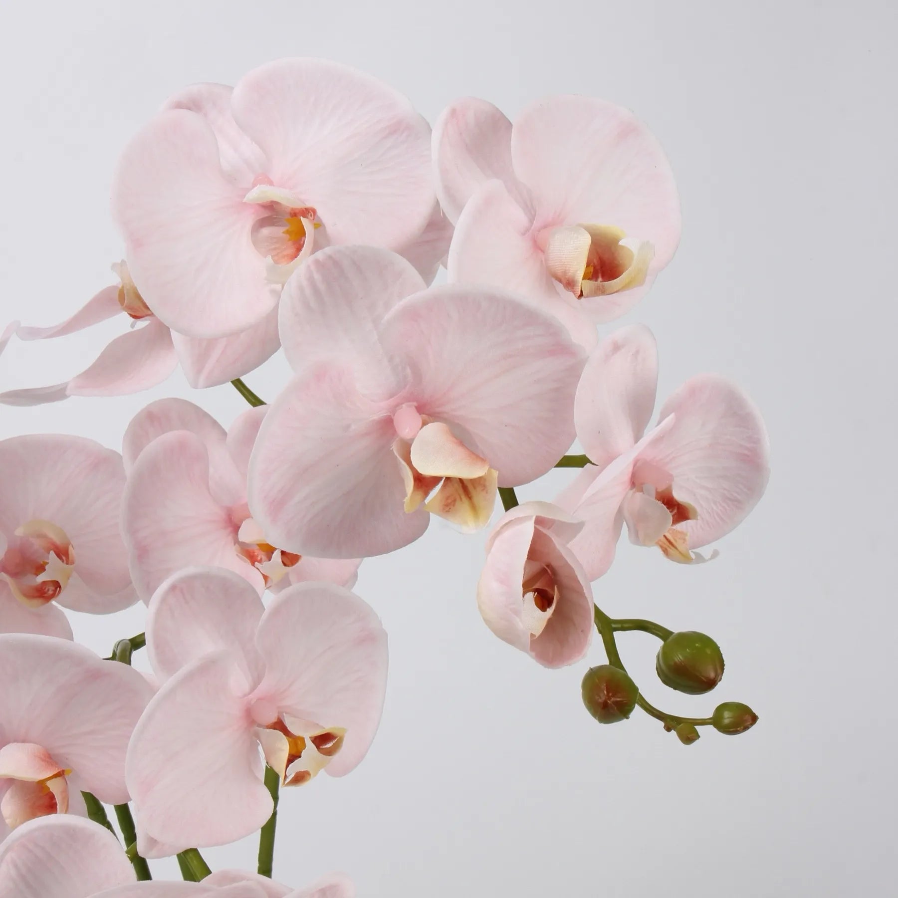 Real Touch Faux Large Butterfly Orchid Flower –Pink