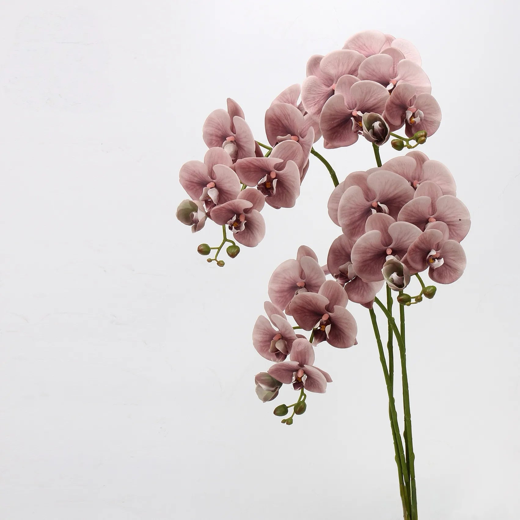Real Touch Large Butterfly Orchid Flower Stem–Peach Pink