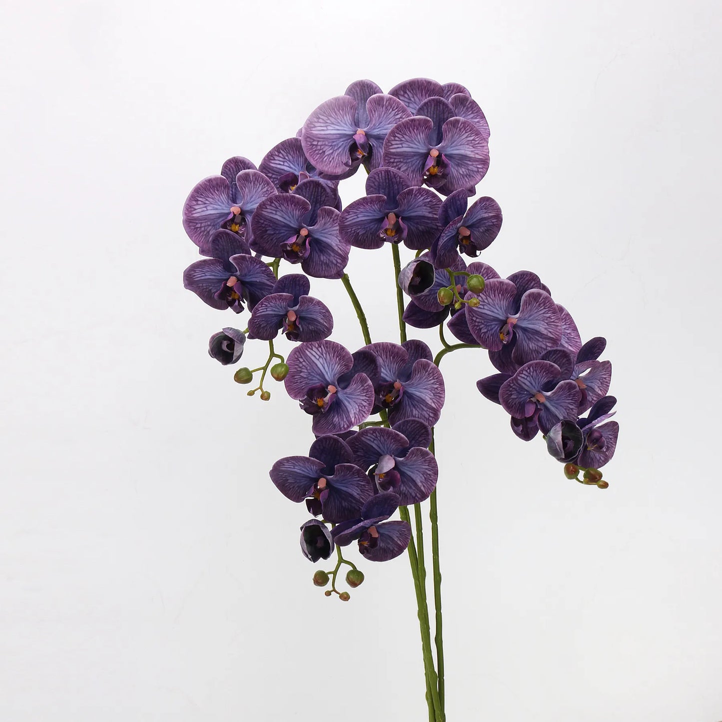 Real Touch Faux Large Butterfly Orchid Flower Stem–Purple