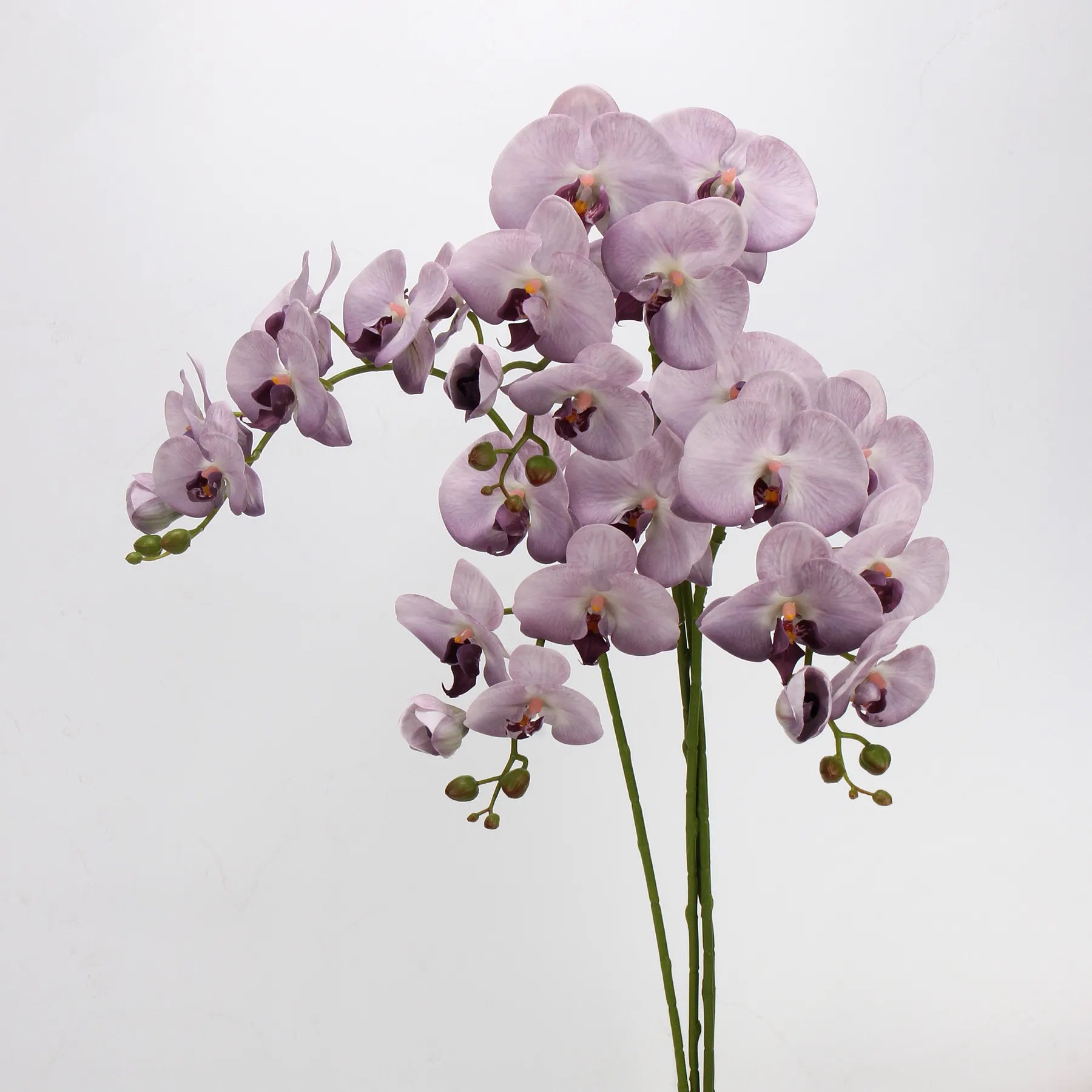 Real Touch Faux Large Butterfly Orchid Flower Stem–Purple