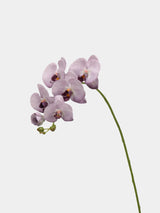 Real Touch Faux Large Butterfly Orchid Flower Stem–Purple