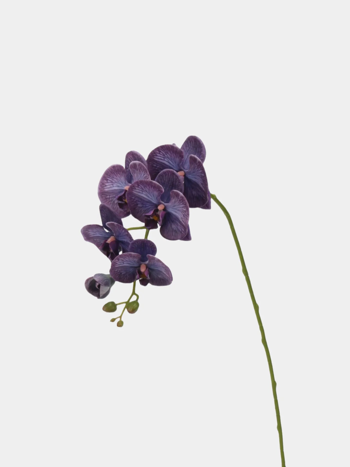 Real Touch Faux Large Butterfly Orchid Flower Stem–Purple