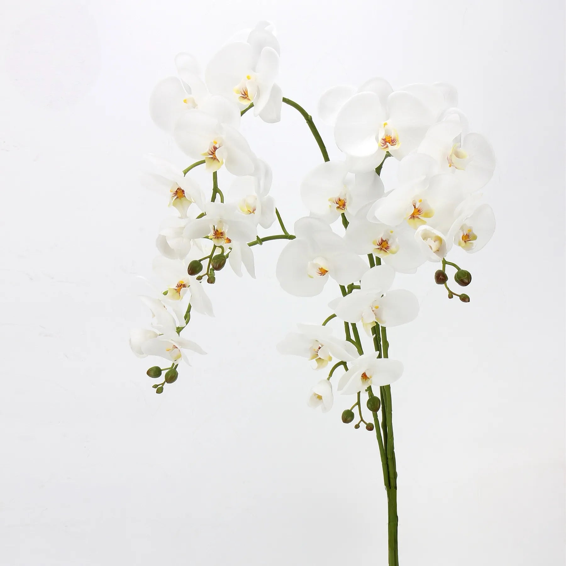 Real Touch Large Butterfly Orchid Flower Stem–White