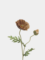 Real Touch Large Poppy Flower –Brown 22.4"