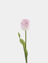 Real Touch Large Tulip Flower Stem – 24"/62cm