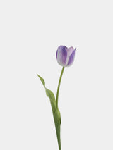 Real Touch Large Tulip Flower Stem – 24"/62cm