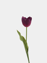Real Touch Large Tulip Flower Stem – 24"/62cm