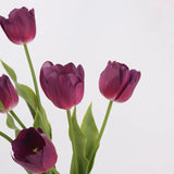 Real Touch Large Tulip Flower Stem – 24"/62cm