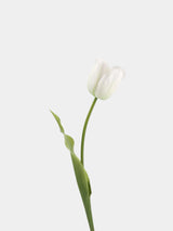 Real Touch Large Tulip Flower Stem – 24"/62cm