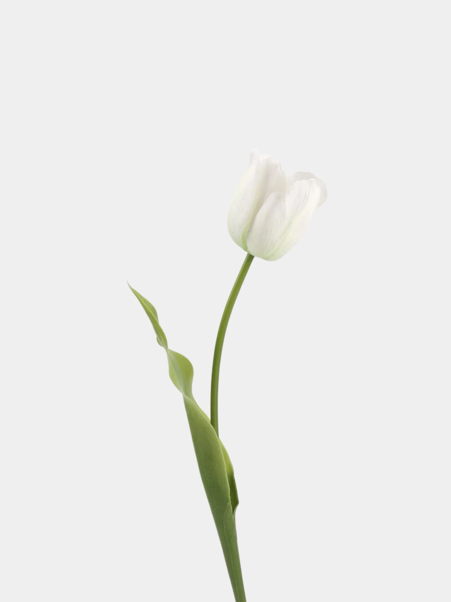 Real Touch Large Tulip Flower Stem – 24"/62cm