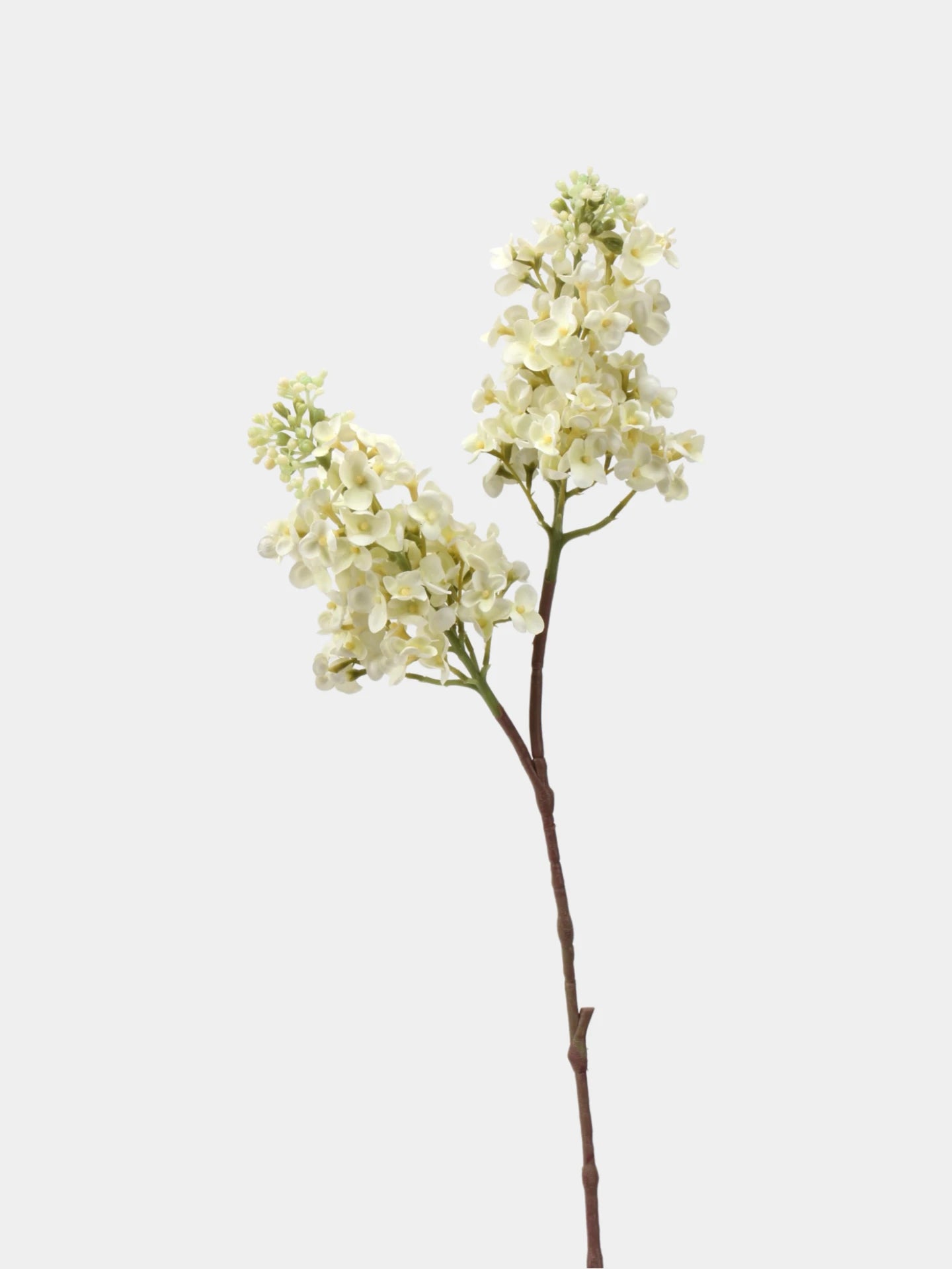 Real Touch Lilac Branch – 24"