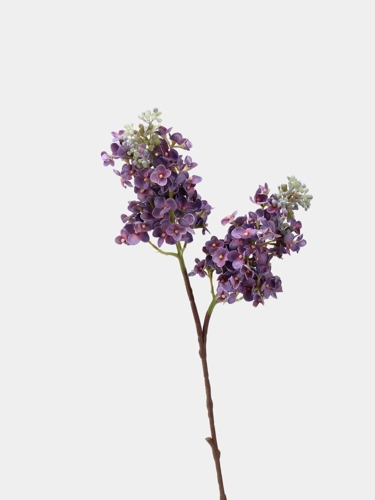 Real Touch Lilac Branch – 24"