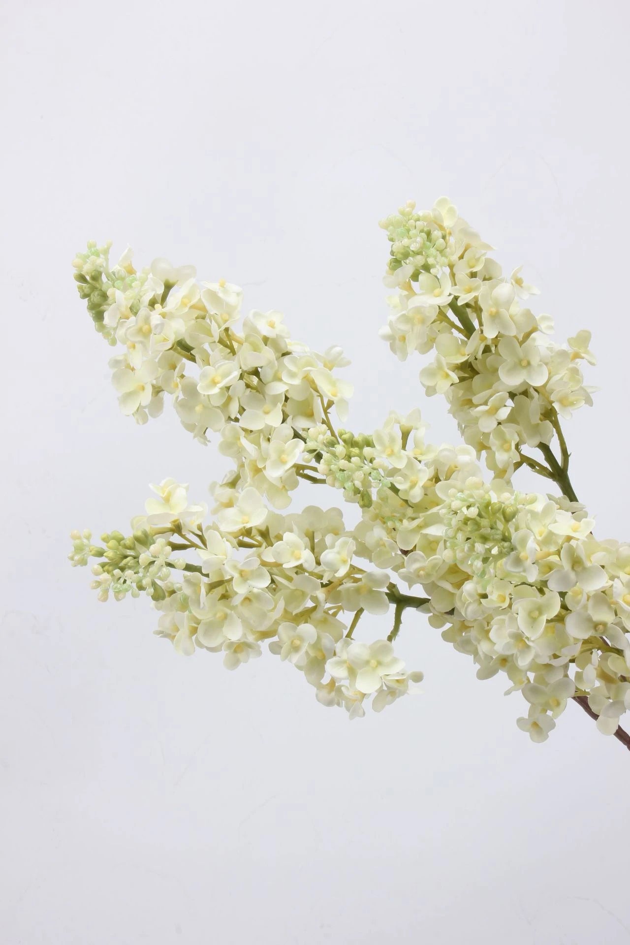 Real Touch Lilac Branch – 24"