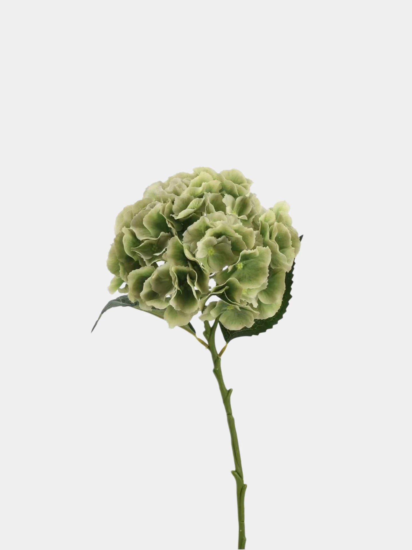 Real Touch Maillard Hydrangea Flower Stem – 20"/52cm