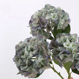 Real Touch Maillard Hydrangea Flower Stem – 20"/52cm