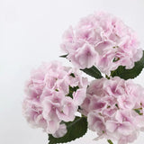 Real Touch Maillard Hydrangea Flower Stem – 20"/52cm