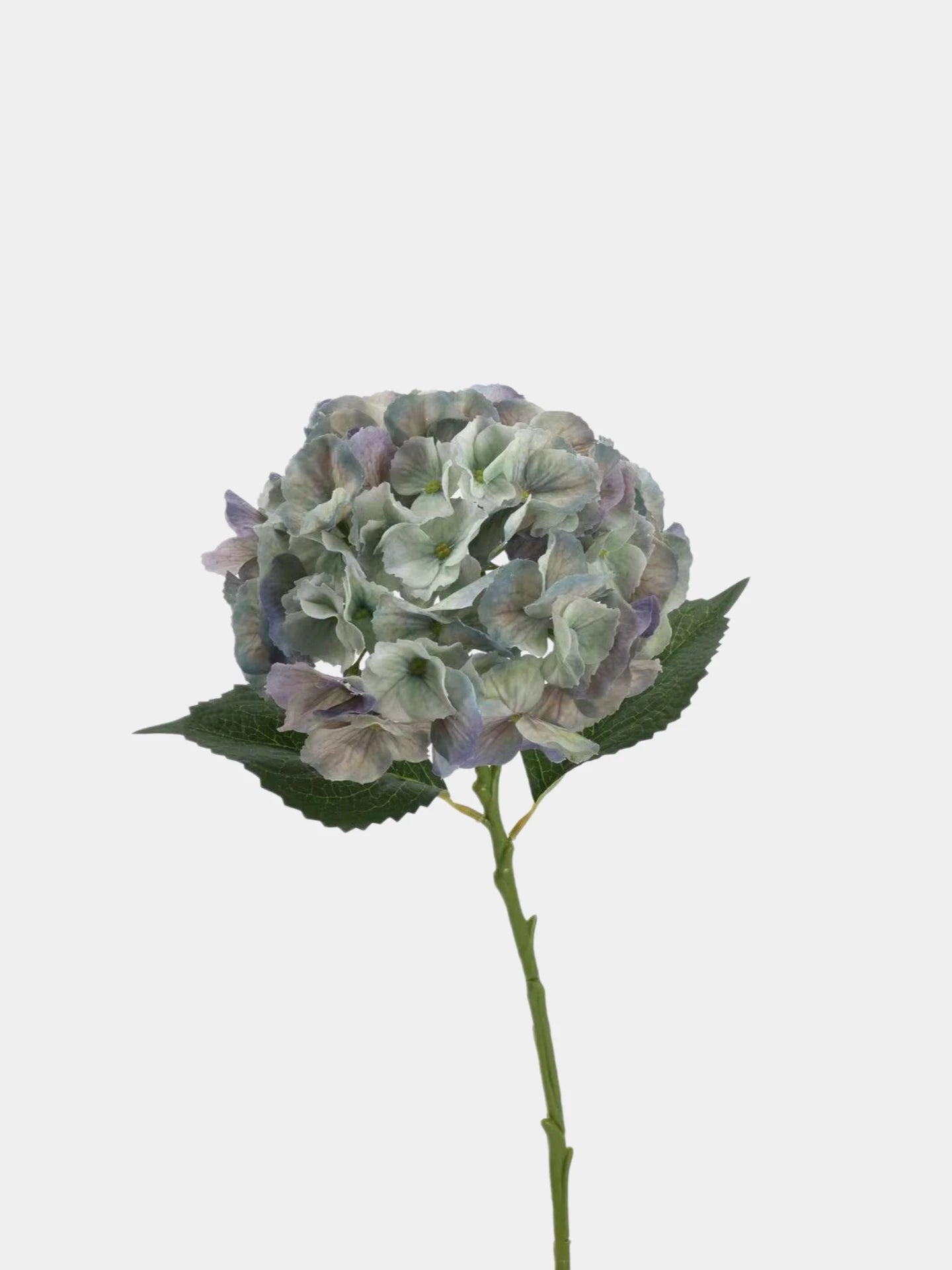 Real Touch Maillard Hydrangea Flower Stem – 20"/52cm