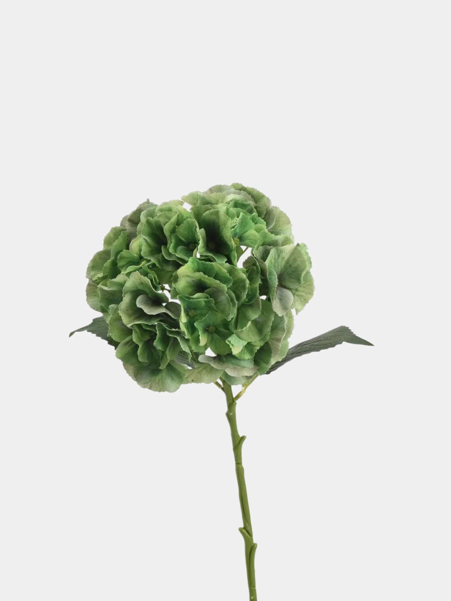 Real Touch Maillard Hydrangea Flower Stem – 20"/52cm