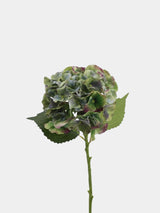 Real Touch Maillard Hydrangea Flower Stem – 20"/52cm