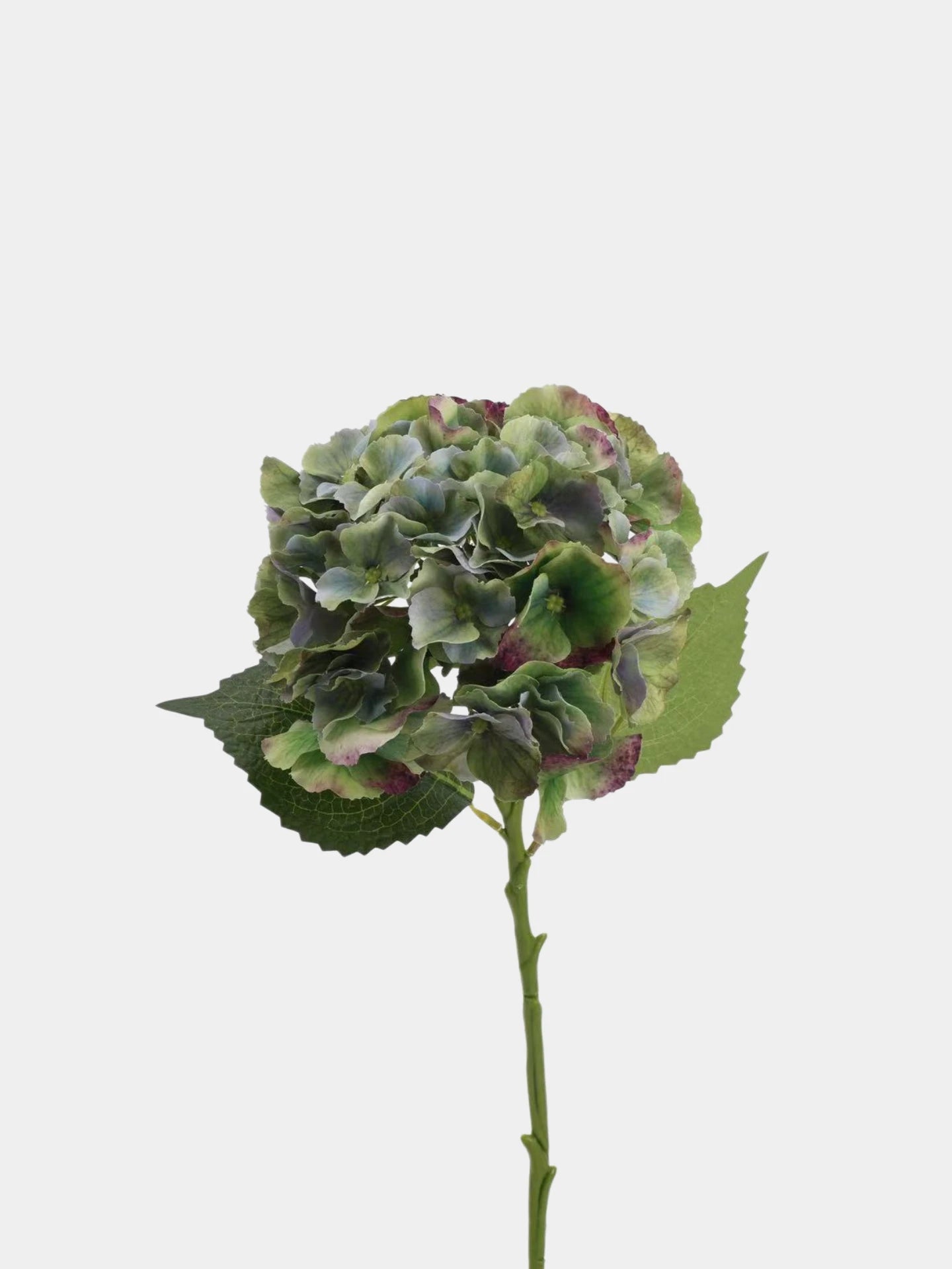 Real Touch Maillard Hydrangea Flower Stem – 20"/52cm