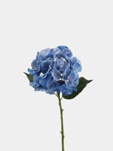 Real Touch Maillard Hydrangea Flower Stem – 20"/52cm